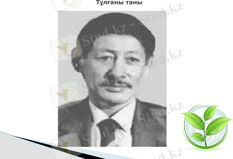 Slide 10