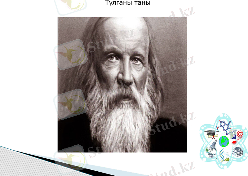 Slide 12