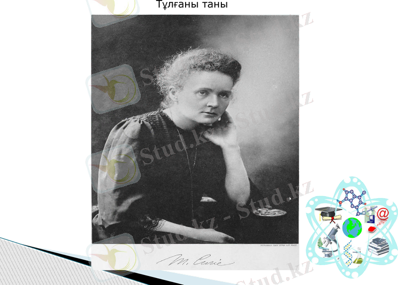 Slide 15
