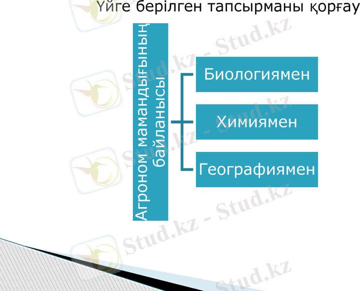 Slide 23