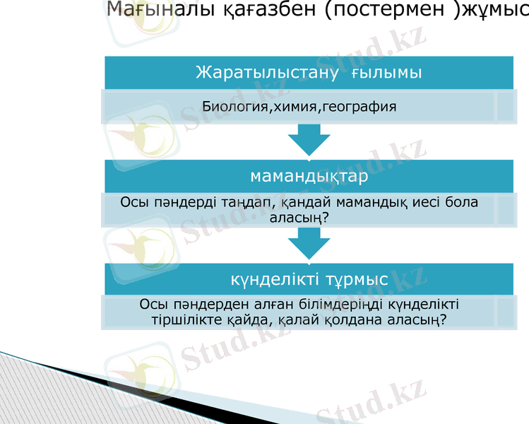 Slide 24