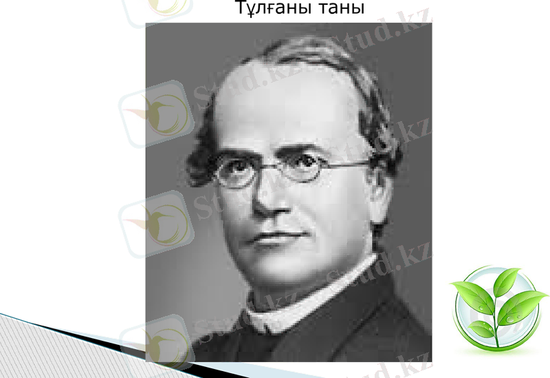 Slide 6