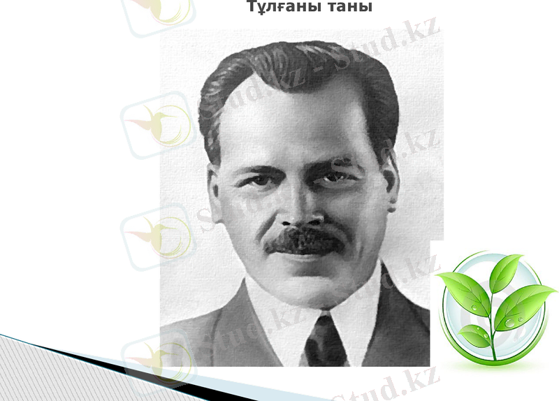 Slide 7