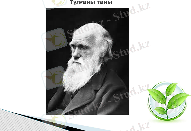 Slide 9