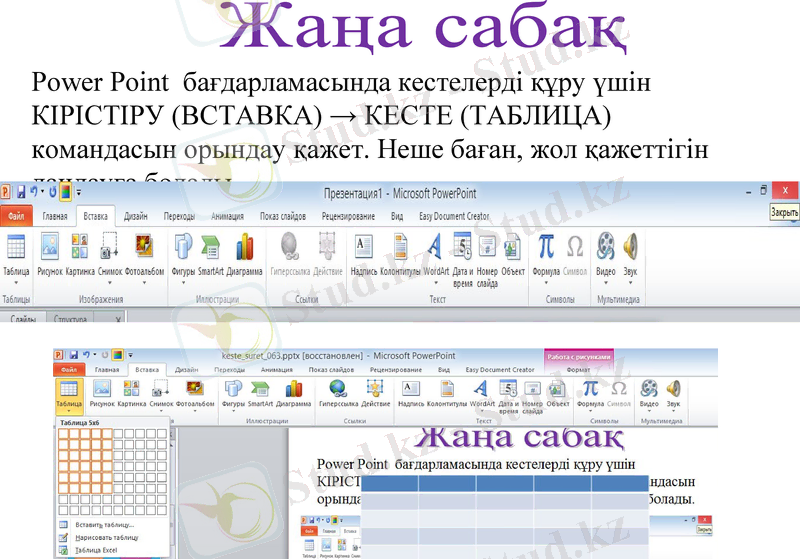 Slide 8