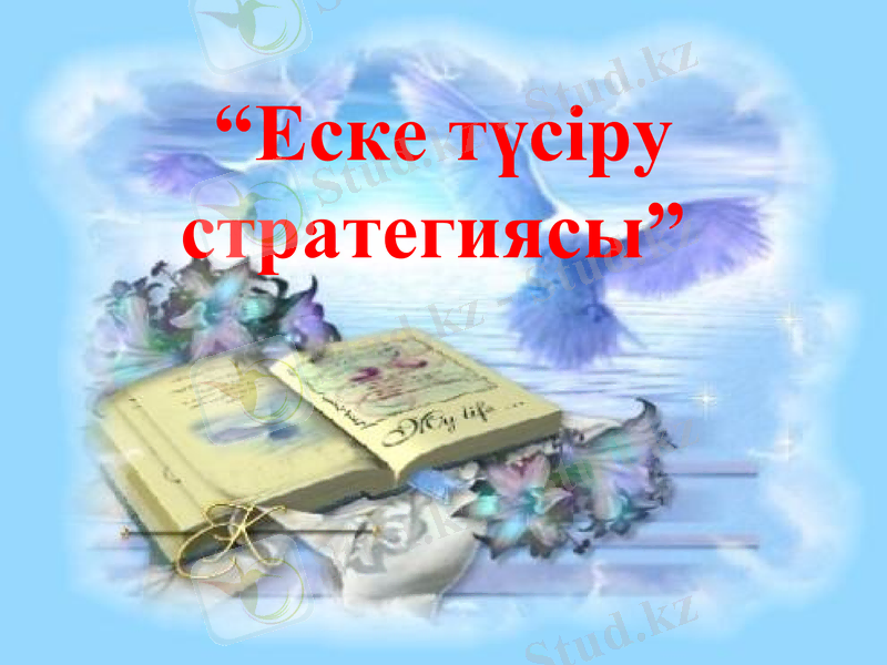 Slide 8