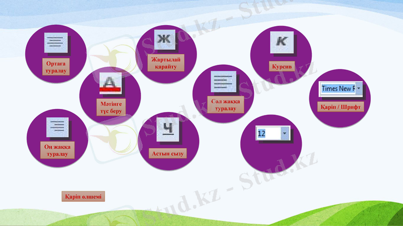 Slide 31