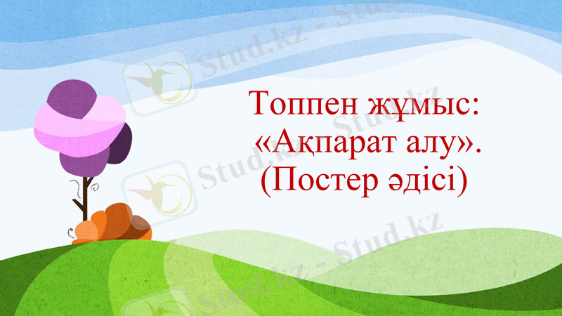 Slide 7