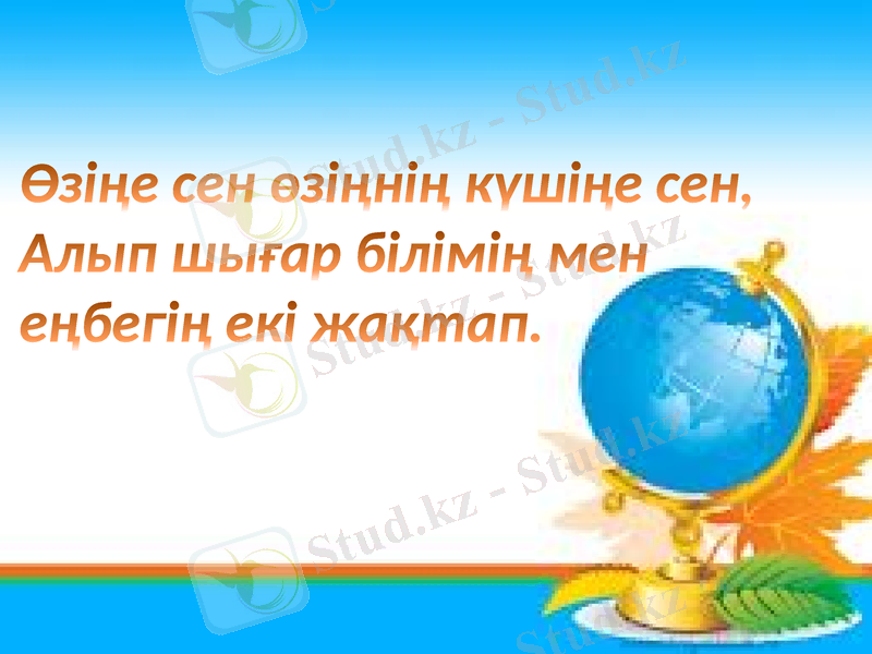 Slide 5