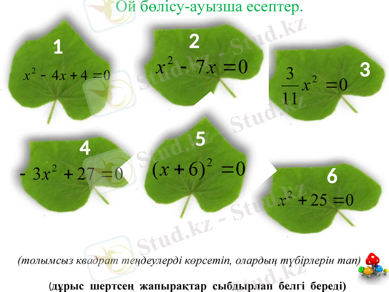 Slide 6