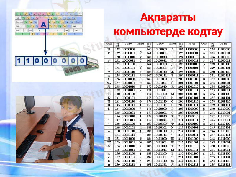 Slide 6