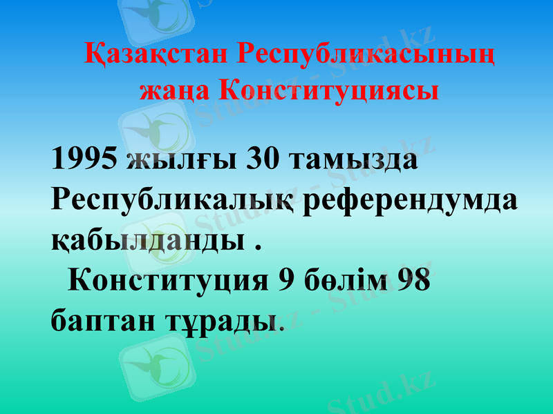 Slide 24