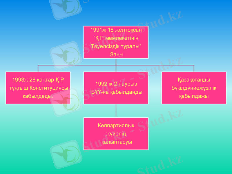 Slide 8