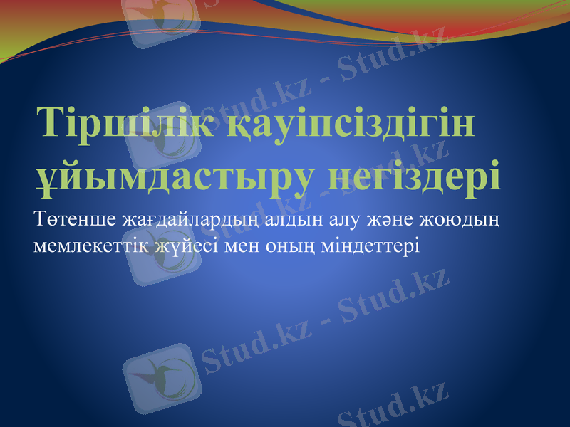 Slide 1