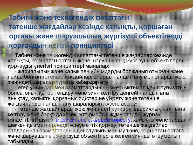 Slide 13