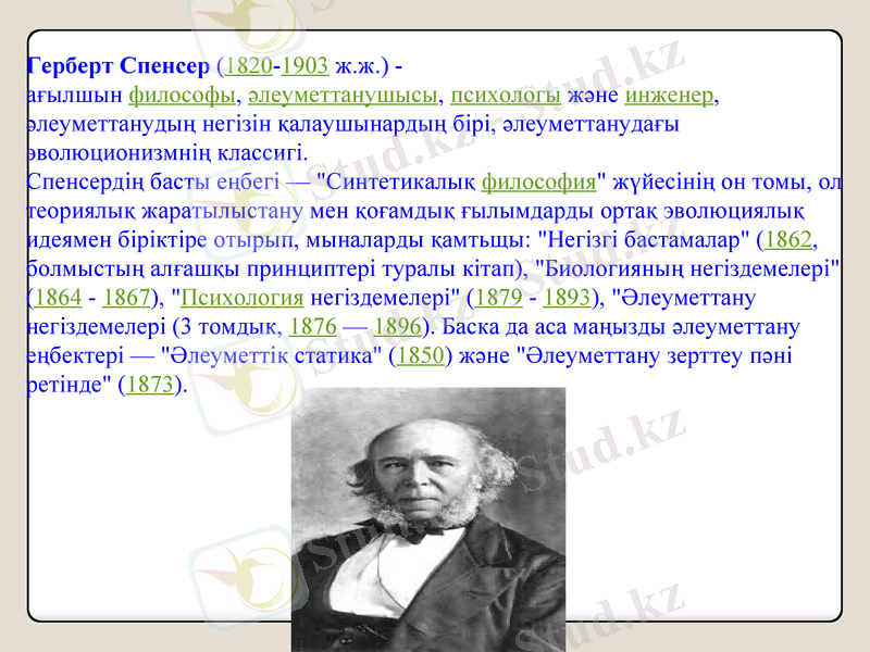 Slide 8