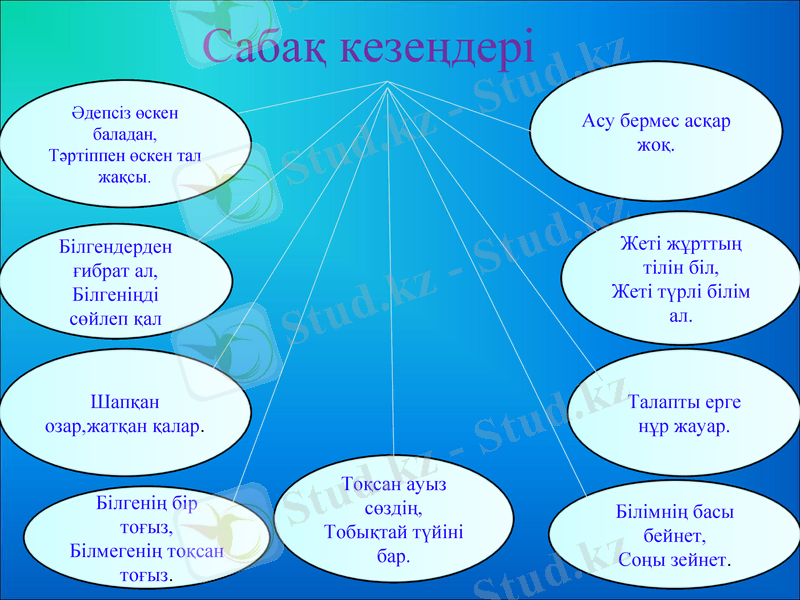 Slide 19