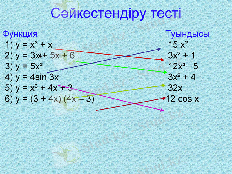 Slide 6