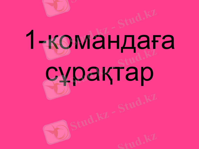 Slide 12