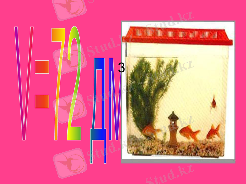 Slide 17