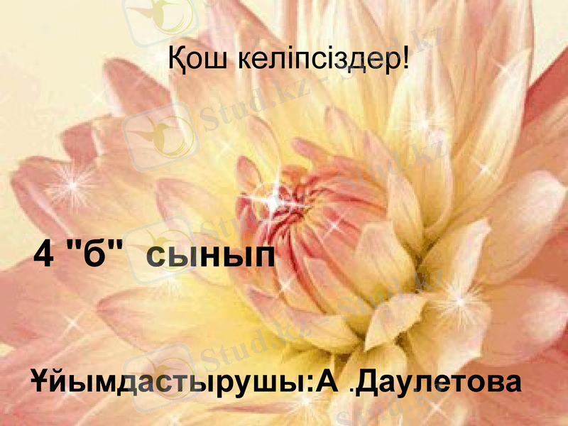 Slide 2