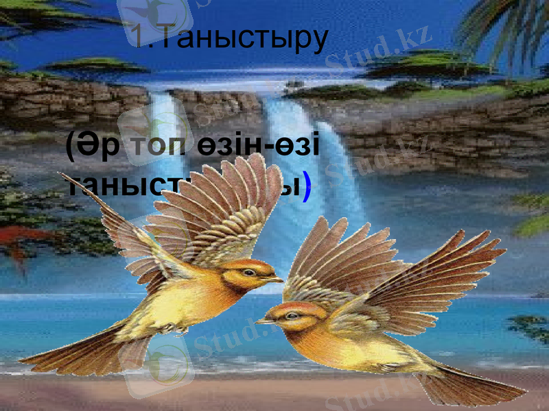 Slide 8