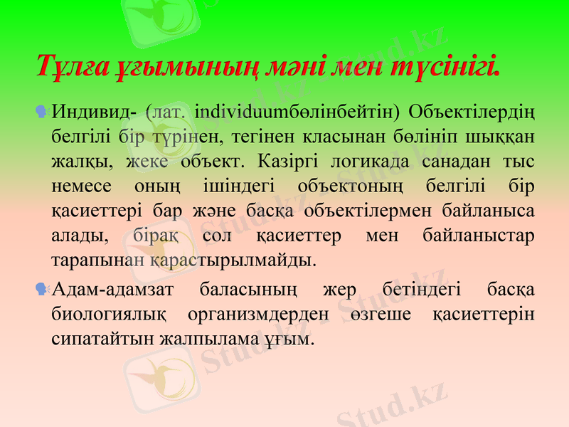 Slide 5
