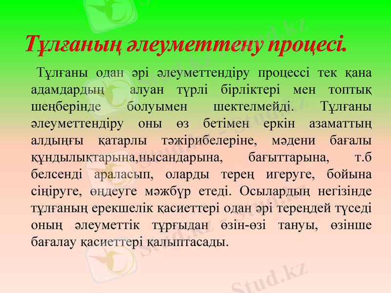 Slide 9