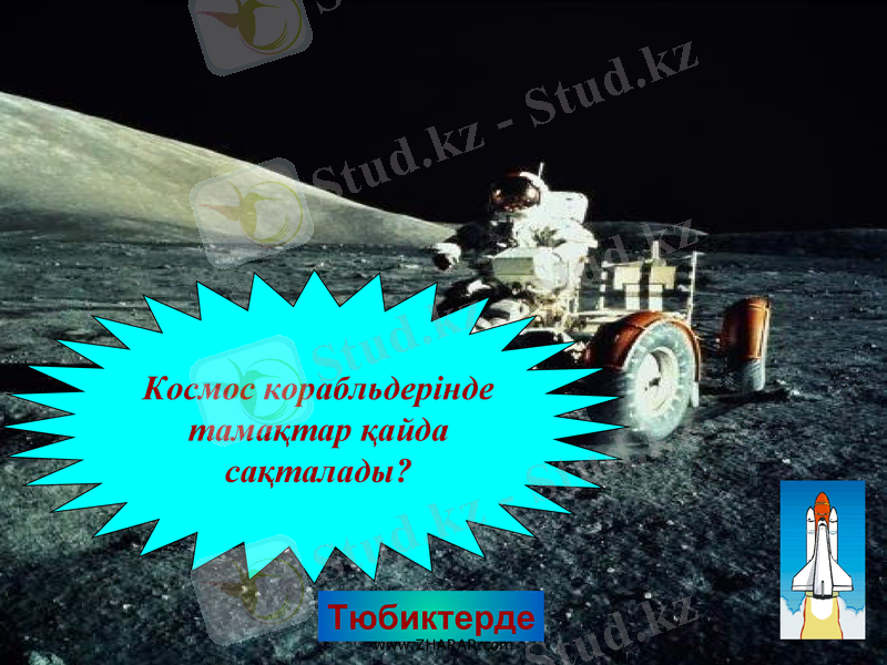 Slide 20