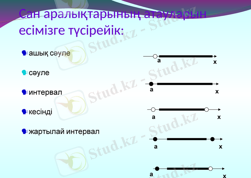 Slide 10