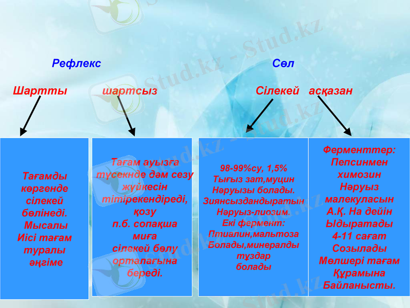 Slide 13