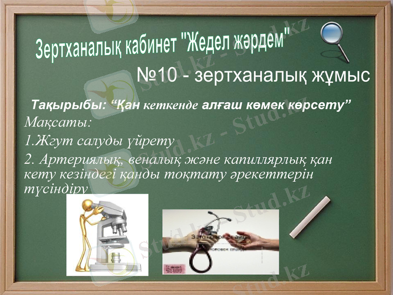 Slide 10