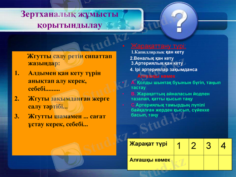 Slide 12
