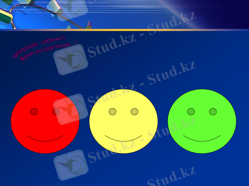 Slide 13