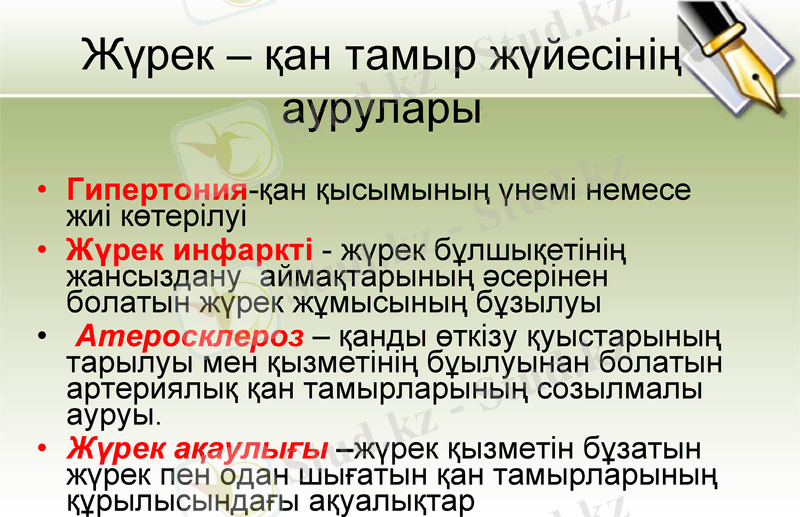 Slide 7