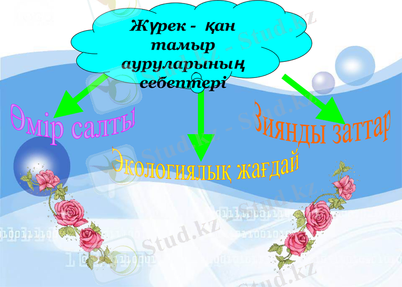 Slide 8