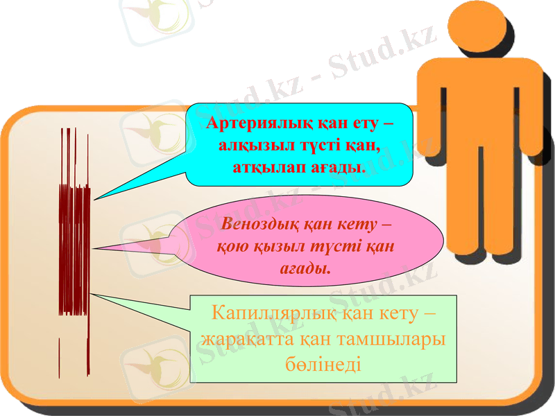 Slide 9