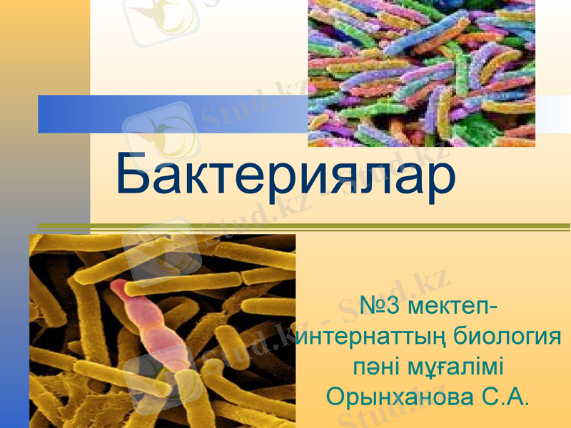 Slide 1