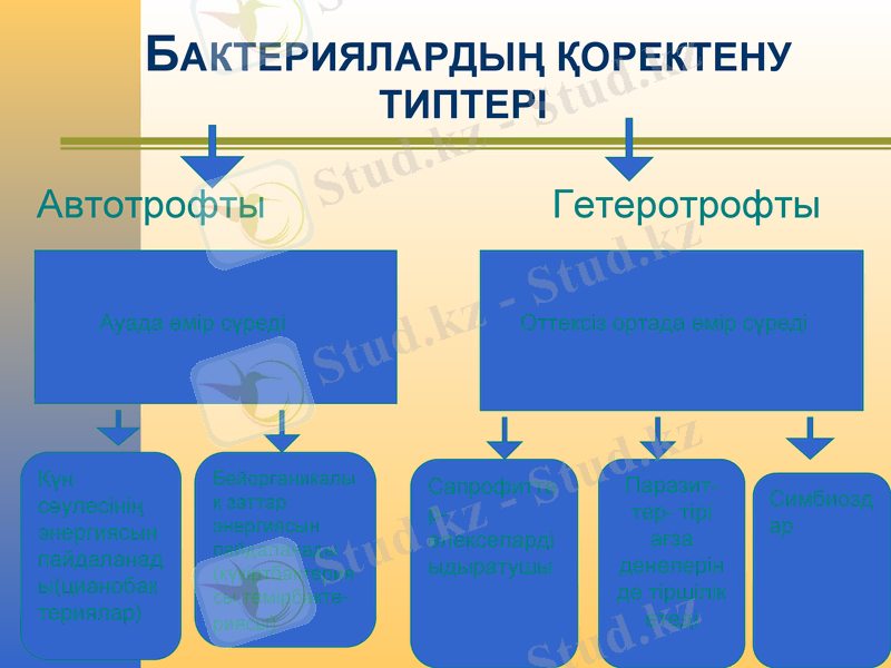 Slide 10