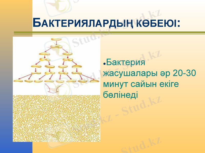 Slide 12