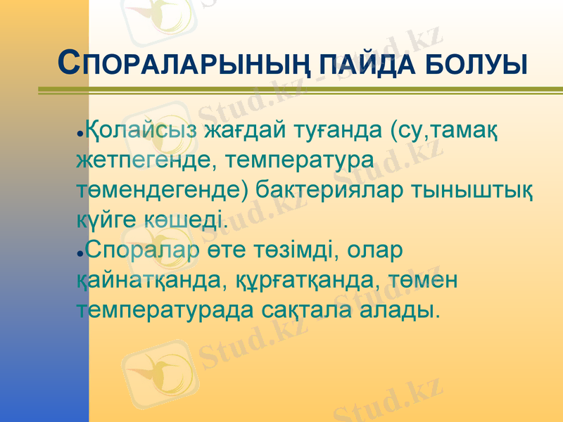 Slide 13
