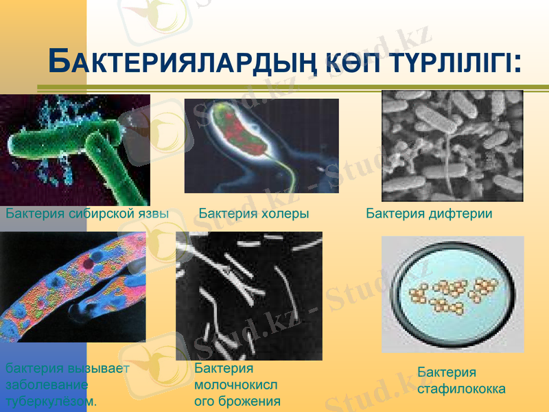 Slide 14