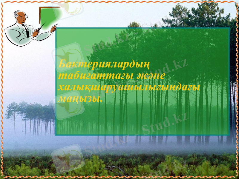 Slide 15