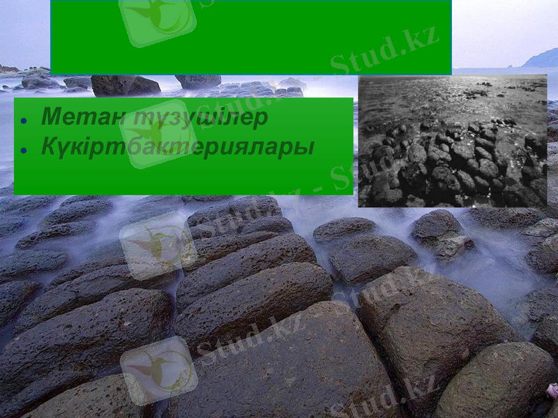 Slide 16