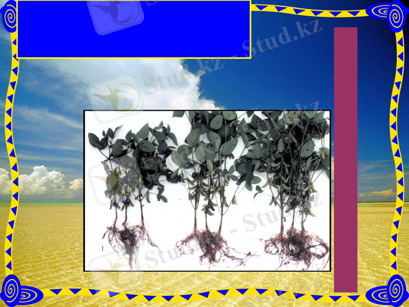 Slide 18