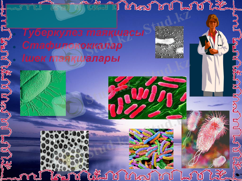 Slide 19