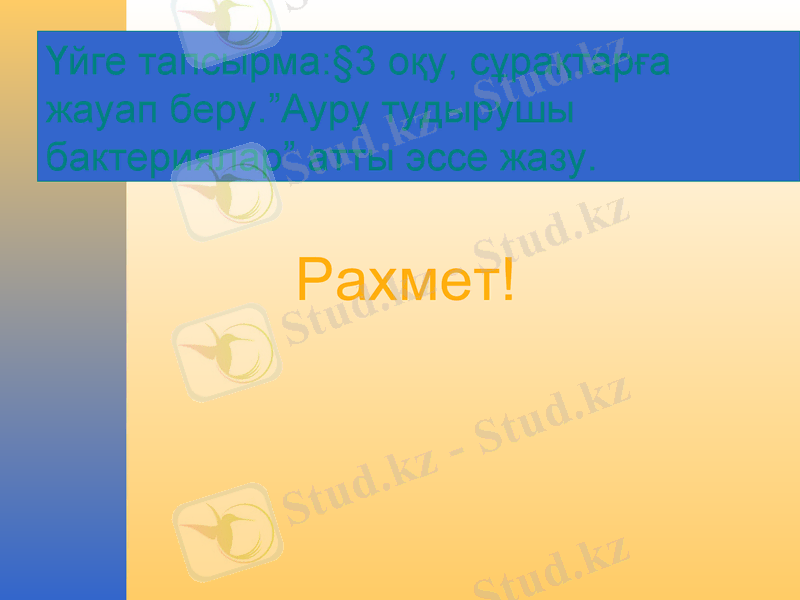 Slide 21