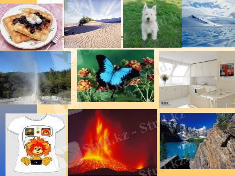 Slide 6