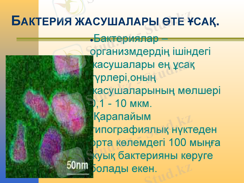 Slide 7