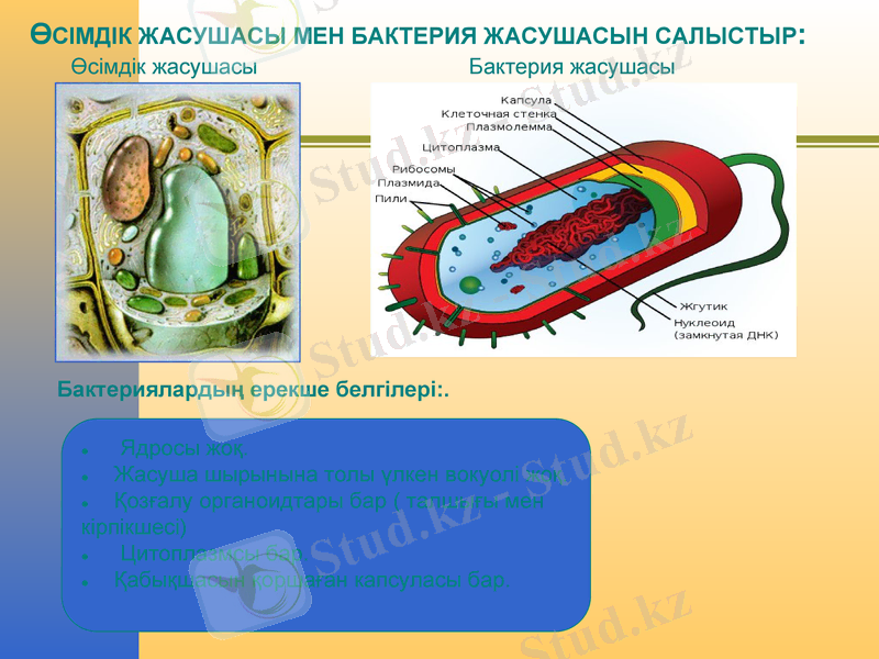 Slide 8